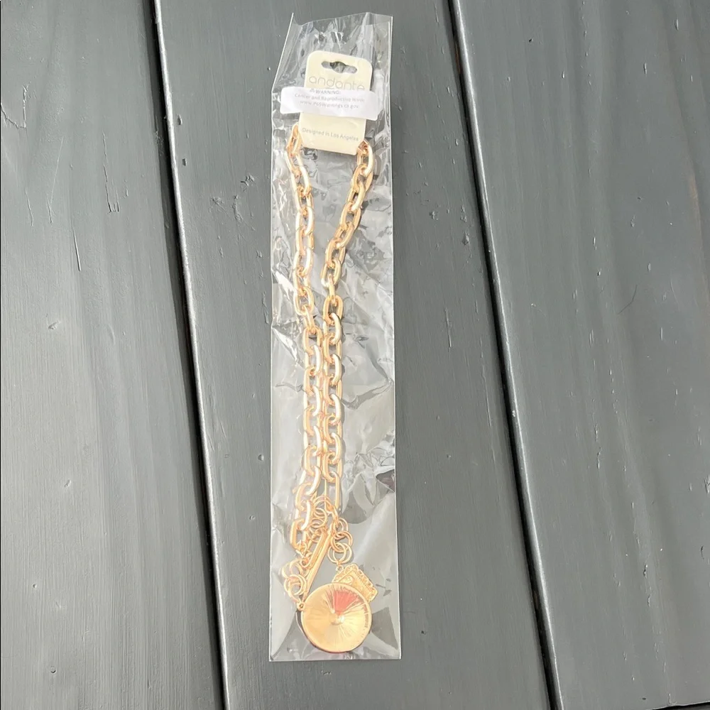 NWT Vici Lasso Love Charm Lariat Necklace - Picture 8 of 9